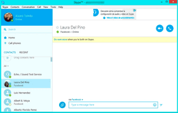 Skype screenshot 2