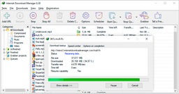 IDM screenshot 3
